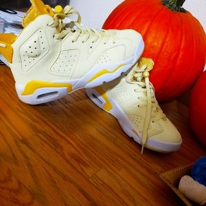 Retro jordan 6